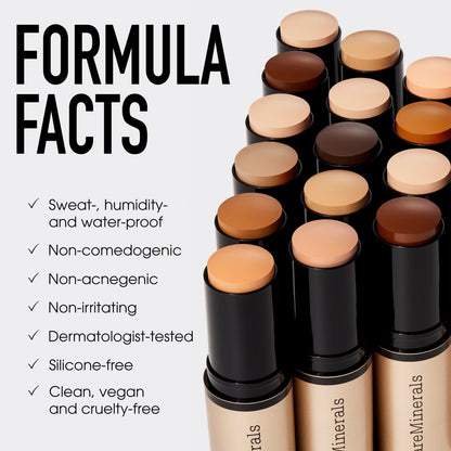 COMPLEXION RESCUE® Luminous Skin Tint Stick and ORIGINAL Mineral Veil® Set + Protect Brush